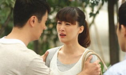 电视剧婆媳的战国时代,宫廷权谋与情感纠葛的较量