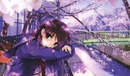 日本樱花动漫网,探寻动漫世界的浪漫樱花之旅