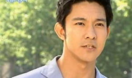 台湾的电视剧,台湾电视剧中的时代印记与人物传奇