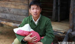 郎德贵电视剧全集,传奇人生，跌宕起伏的电视剧全记录